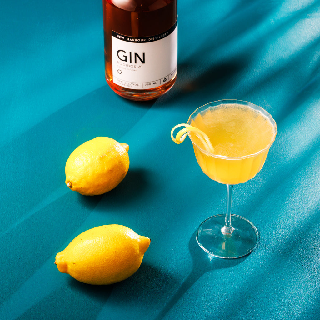 Best Gin South Africa Craft Gin For Sale Online Cape Town New